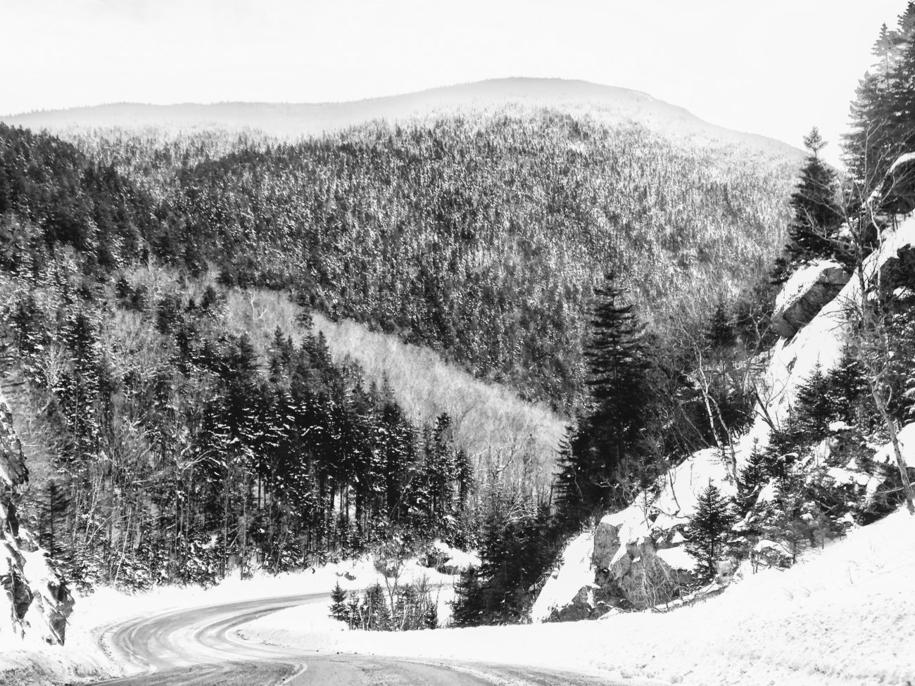 New Hampshire Image BW