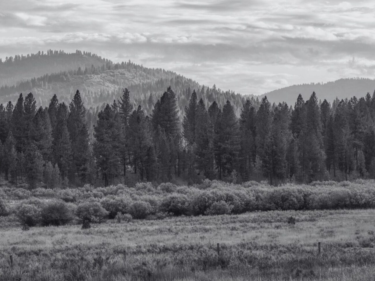 Idaho Header Image 2